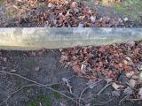 image of grave number 370773